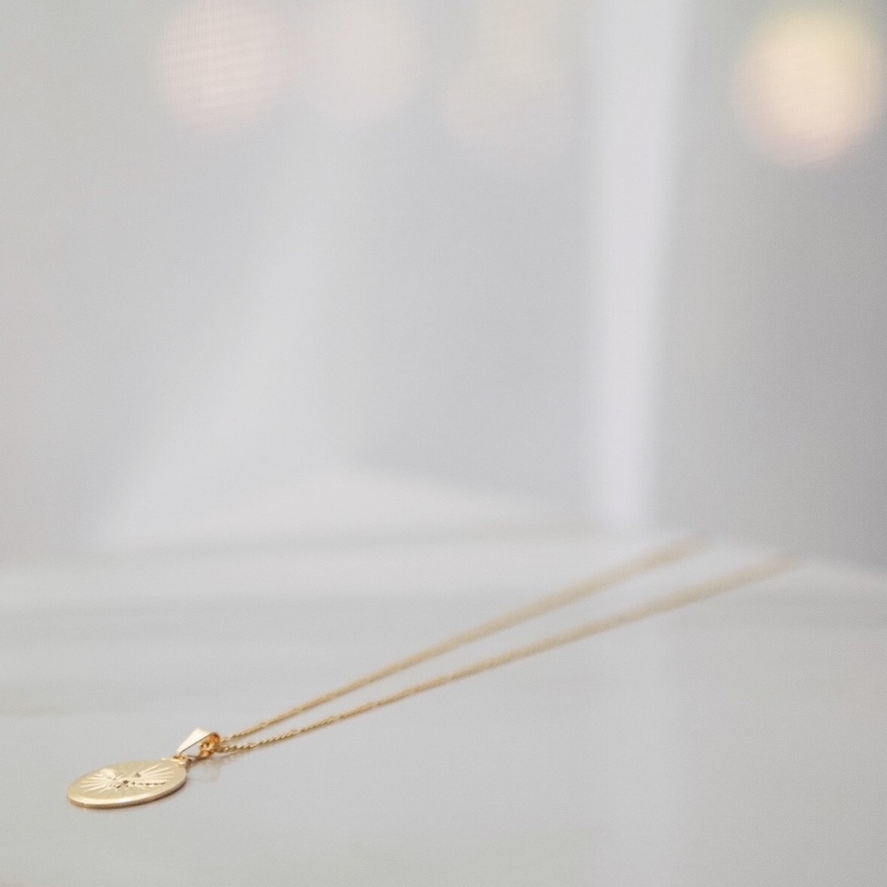 Dove Spirit Necklace | 18k Gold Filled - Picture 2 of 8